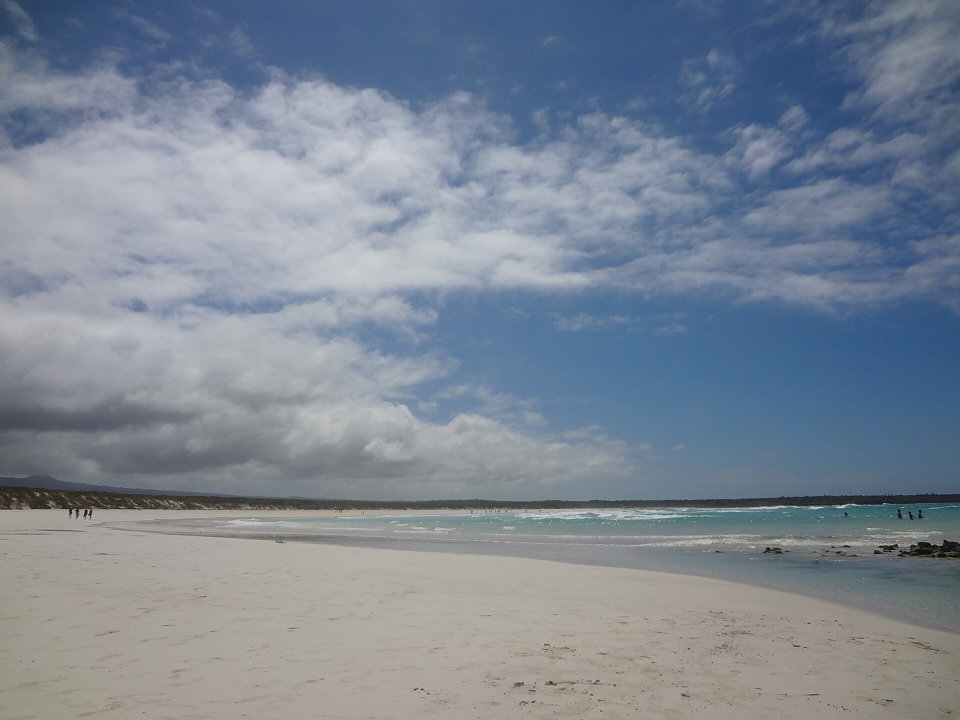 Galápagos · Santa Cruz