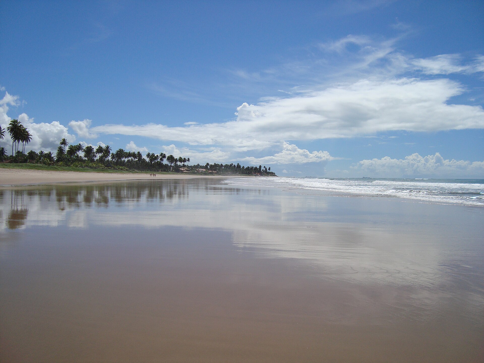 Recife + Porto de Galinhas